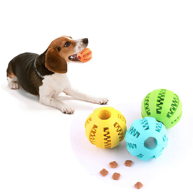 Rubber Food Ball Toy for Dogs - HazMarket