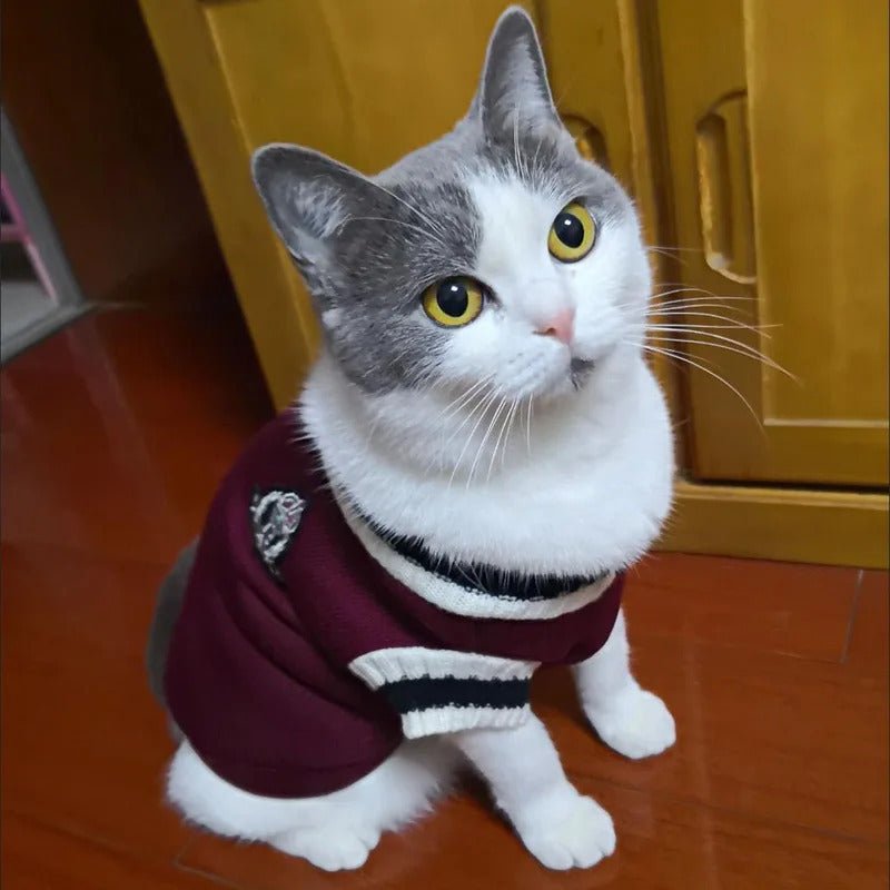 Warm Pullover Sweater for Cats and Dogs - HazMarket